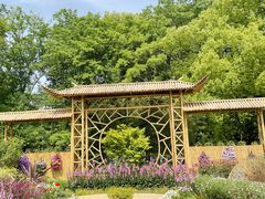 -上海共青森林公园