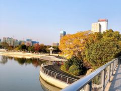 -映月湖中央公园