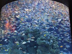 -成都浩海立方海洋公园