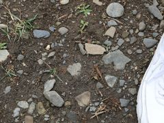 -龙坑生态保护区