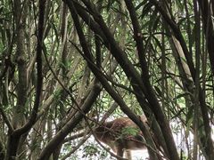 -苏州太湖国家湿地公园