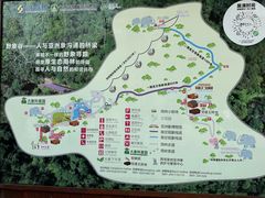 -野象谷景区