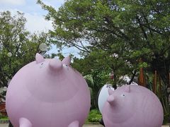 -观澜湖生态运动公社