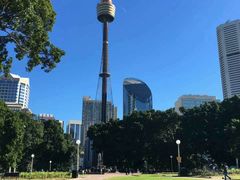 -悉尼歌剧院