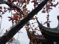 -苏州上方山国家森林公园