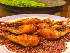 -采悦轩中餐厅·粤菜·海南菜(神州半岛喜来登度假酒店)
