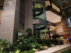 -上海新锦江大酒店