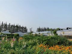 -前小桔亲子创意农场·草莓采摘·露营烧烤