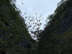 -皖西大裂谷
