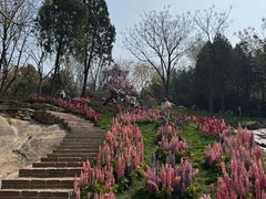 -沂蒙云瀑洞天景区