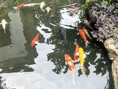 -聚福宝合苑食府(南头镇店)