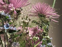 -BOCATA 西班牙餐厅(三里屯店)