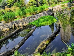 -成都市活水公园