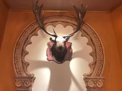 -游牧传奇新疆特色歌舞餐厅(红山新世纪购物广场店)