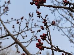 -北京鹫峰国家森林公园