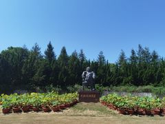 -上海海湾国家森林公园