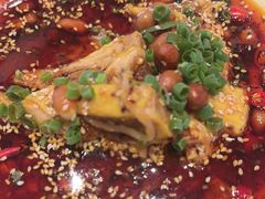 -香丰阁·烤鸭·川湘菜(清河店)