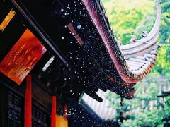 -灵谷景区