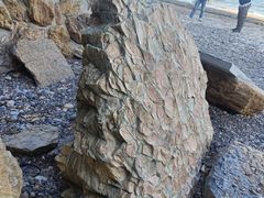-大连金石滩滨海国家地质公园