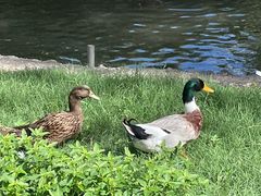 -卡塞拉自然公园