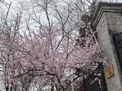 -北京师范大学附属中学