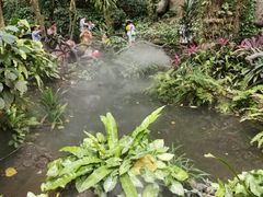 -呀诺达热带雨林