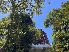 -青城山