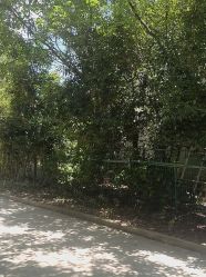 -爱你宝贝儿童摄影(西湖云端店)