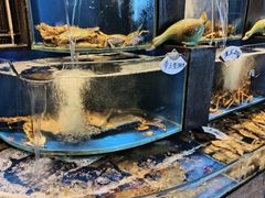 -观宴中餐厅