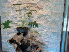 -古京·臻致料理(月湖店)