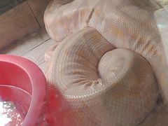 -合肥野生动物园