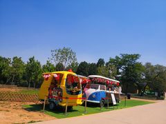 -北京西山国家森林公园