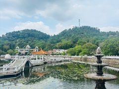 -红山村