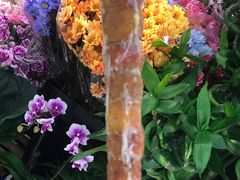 -和禄德冰糖葫芦