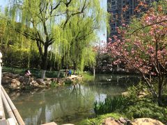 -大宁公园