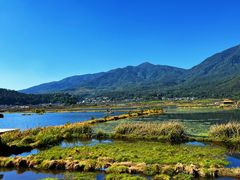 -腾冲北海湿地