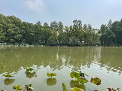 -东湖落雁景区