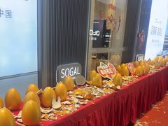 -索菲亚衣柜橱柜全屋定制(真北红星店)