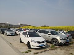 -奥特莱斯停车场