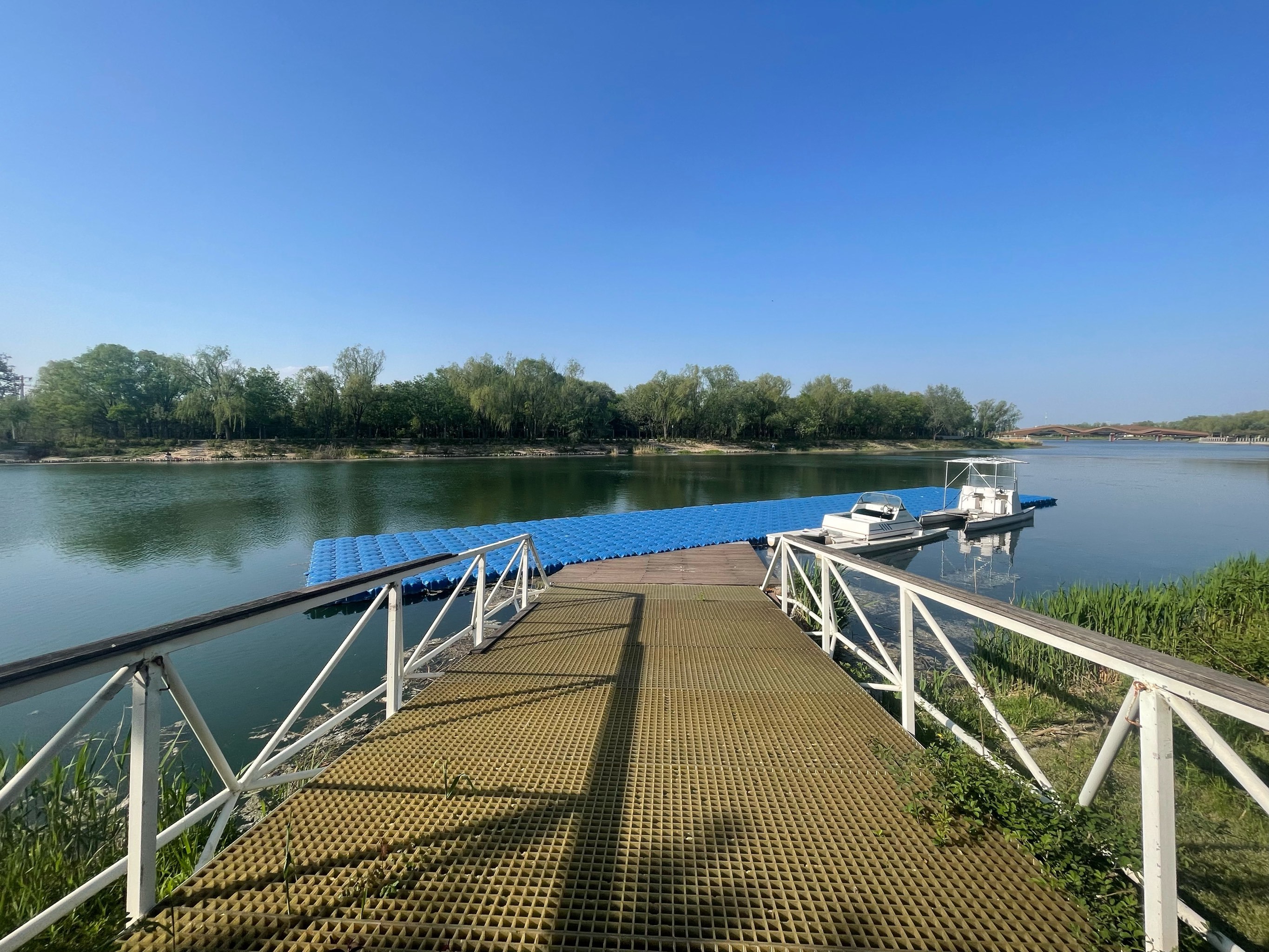 让我们荡起双桨