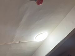 -神仙树公园