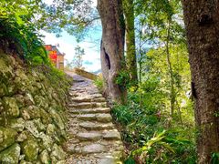-雁南飞茶田景区