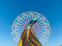 -七彩云南欢乐世界