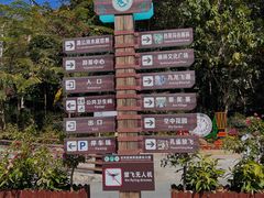 -西双版纳原始森林公园