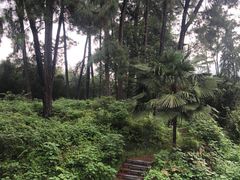 -安吉龙王山峡谷漂流