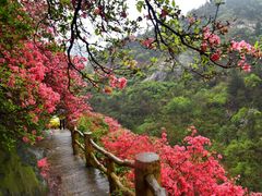 -木兰云雾山