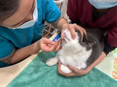 -芭比堂动物医院(广州爱宠下渡路分院)
