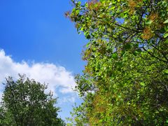 -北京西山国家森林公园