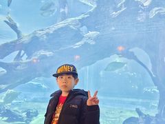 -华夏文旅海洋公园