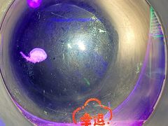 -大连圣亚海洋世界